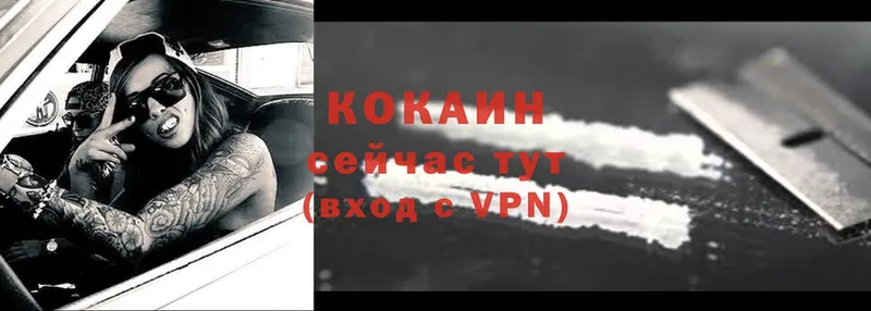 купить  цена  Агидель  Cocaine VHQ 